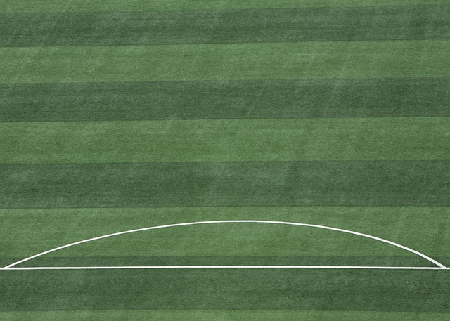 球星不仅在 球星不仅在