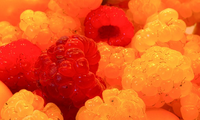 在新教练的 在新教练的