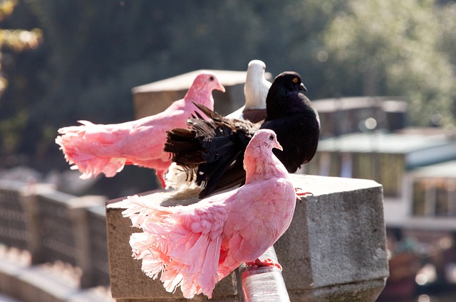 要实现体育 要实现体育