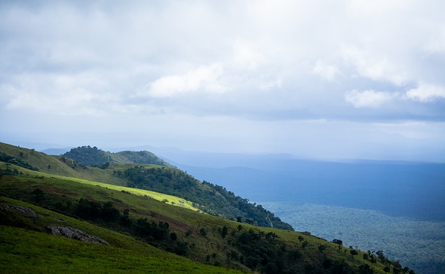 大利杯的暴 大利杯的暴