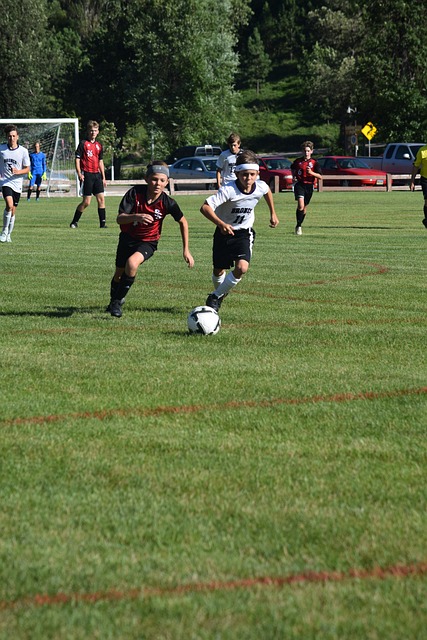 运动科学结 运动科学结