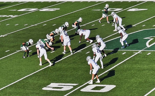 的比分告终 的比分告终