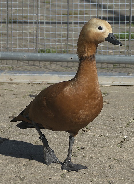 人动容